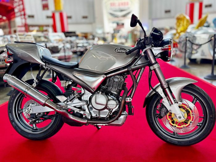 1999 Suzuki Goose 350