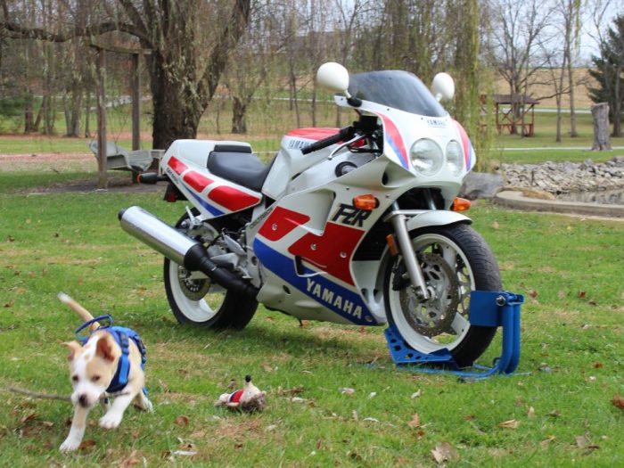 1989 Yamaha FZR1000
